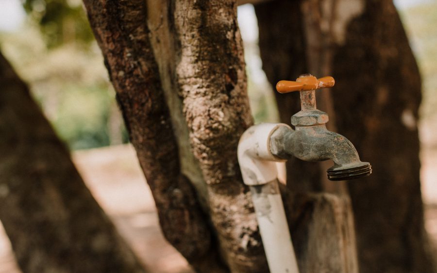 Water from the first of February: standpipe hours and no irrigation
