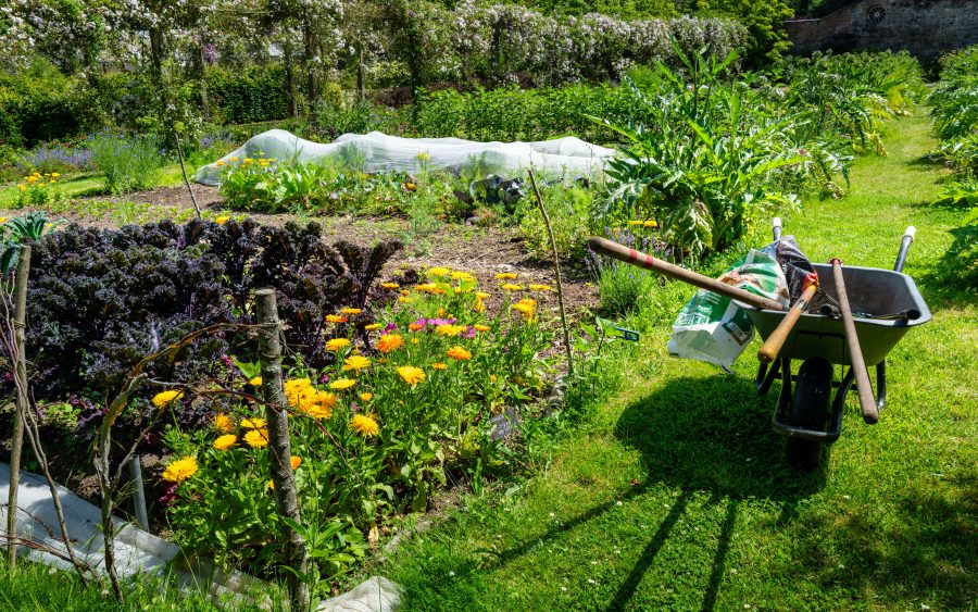 Compost goes back to the plots this month, and two bays nobody has turned