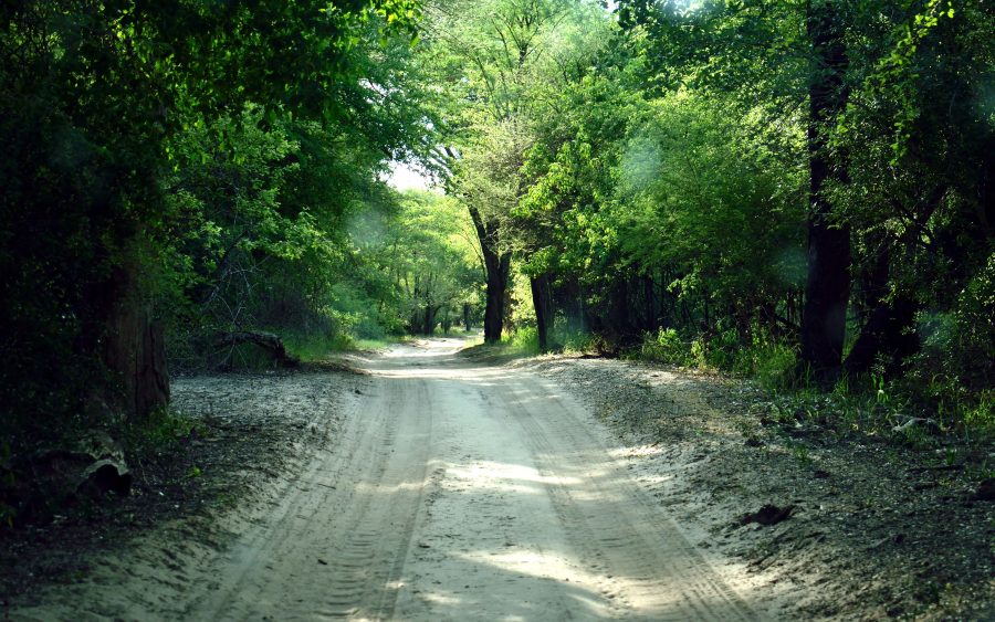 The track out to the plots