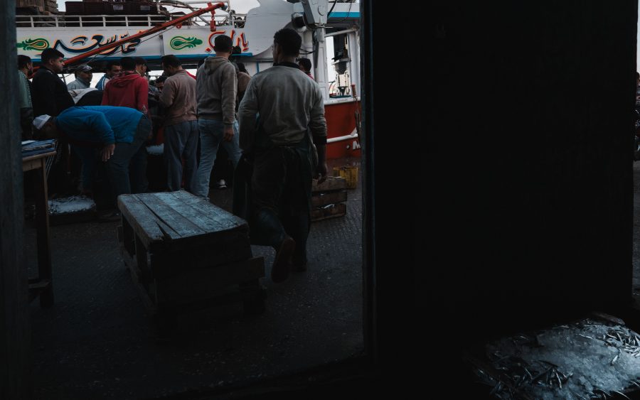A season of fish on the return leg