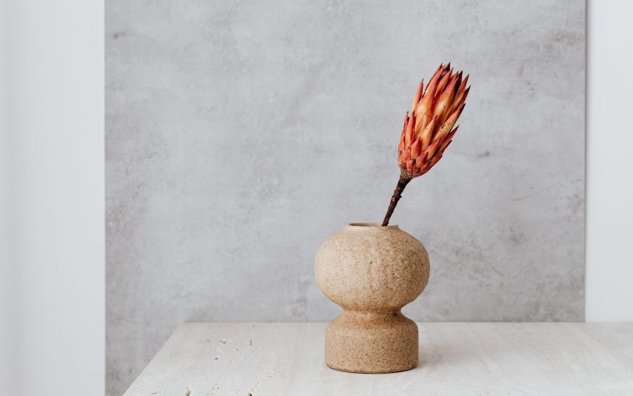 Bud vase with dried stems