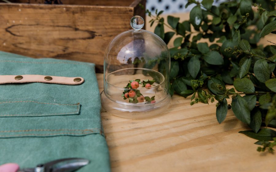Preserved rose in a glass dome