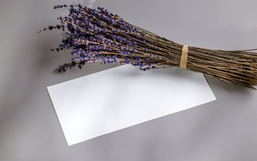 Dried bunch, studio choice