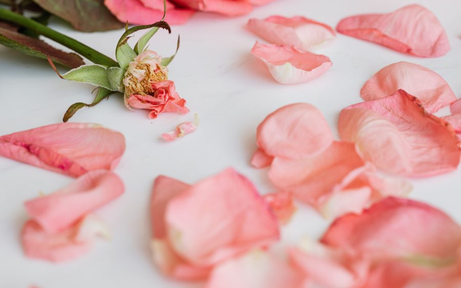 Four days, and why we stopped selling fresh flowers