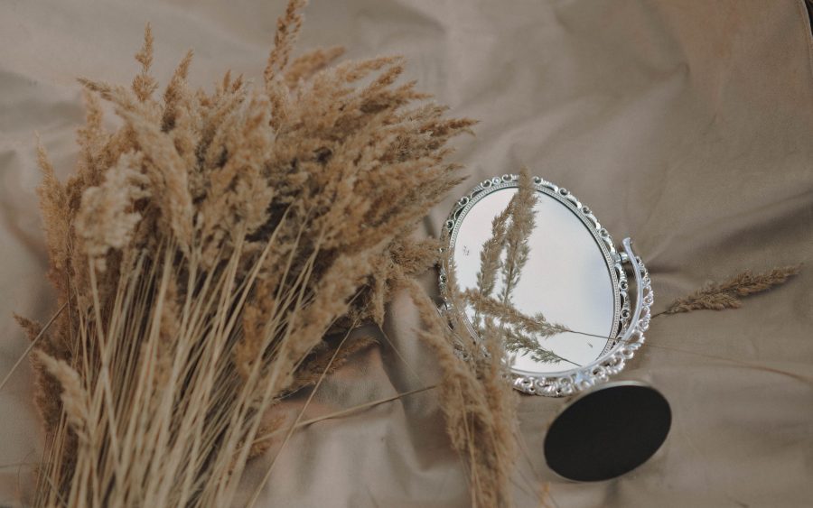 Bundle of dried stems