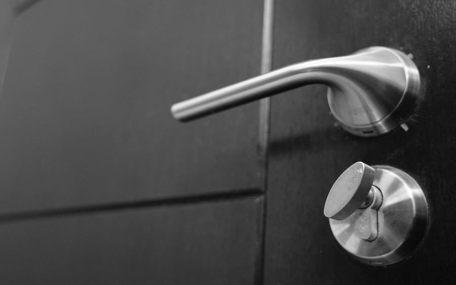 Door, lock and window visit