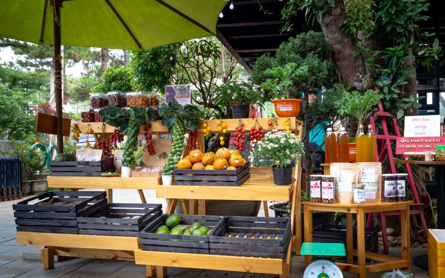 A guesthouse group's produce, six in the morning