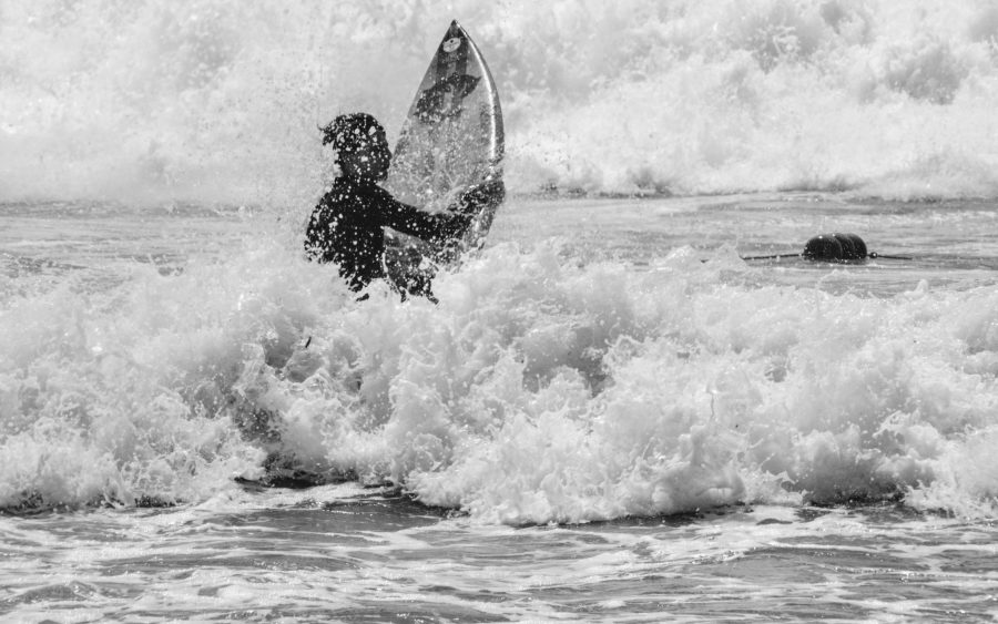 Lower deck twin cabin, surf trip, six nights