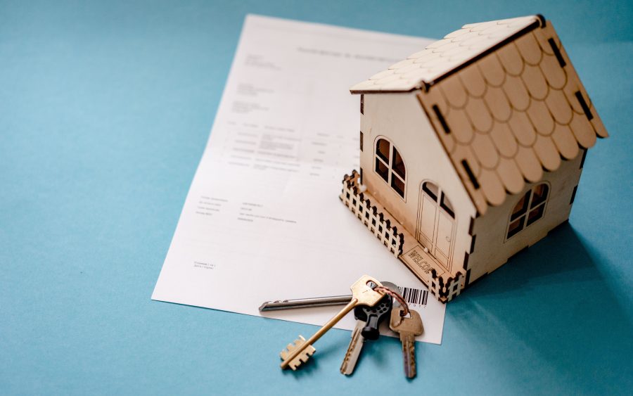 Buying land on an island, and what actually changes hands