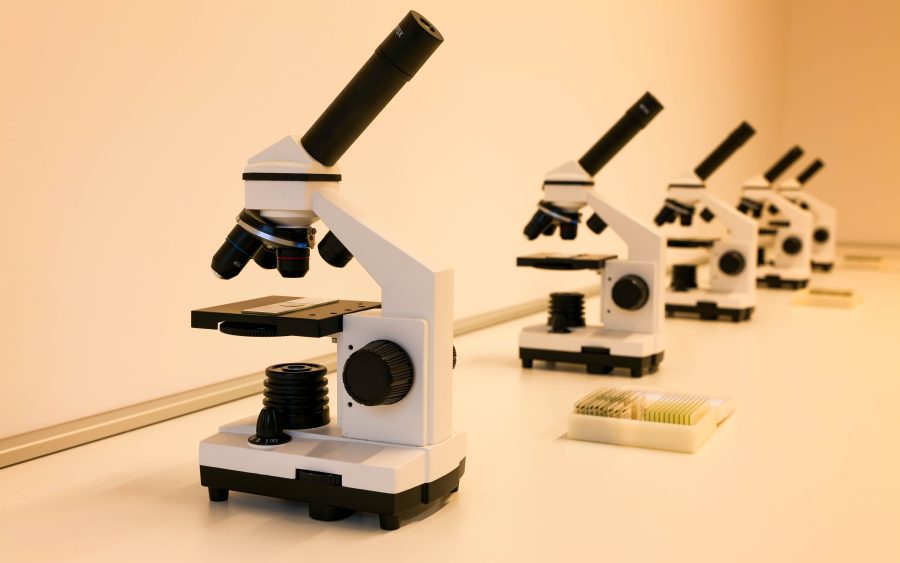 The two laboratories