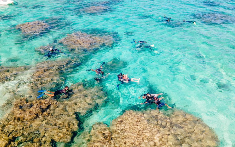 Snorkel safari, three reefs