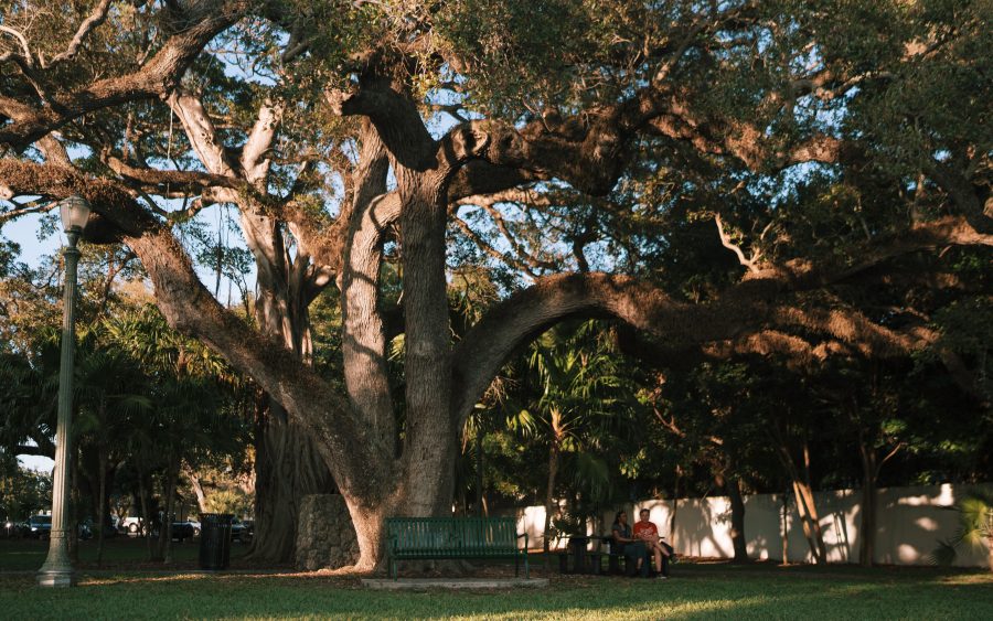 The park on Ranna Magu, rebuilt